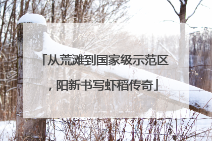 从荒滩到国家级示范区，阳新书写虾稻传奇